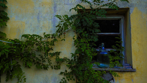 Tanya Window Great Plains of Hungary 2023 Print