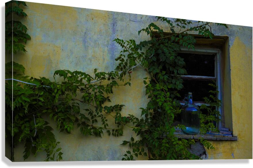 Tanya Window Great Plains of Hungary 2023 Canvas Print