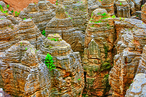 ON TOP OF THE ROCK  by Charles Herchert