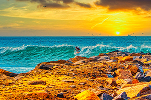 SOLE SURFER  by Charles Herchert