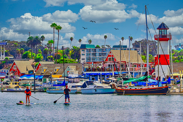 PADDLE BOARDING  Print