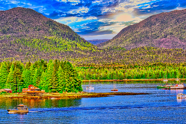 ARCTIC SEA   Digital Download