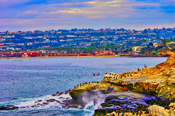 HIDDEN SEACOVE Digital Download