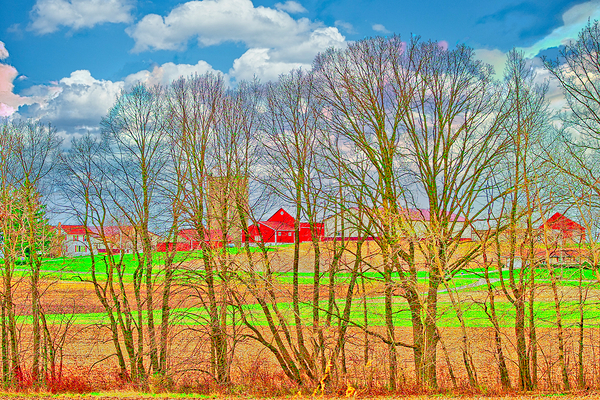 COUNTRY FARM TREES  Print