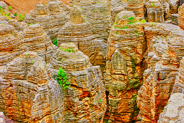TOP OF THE ROCK  Digital Download