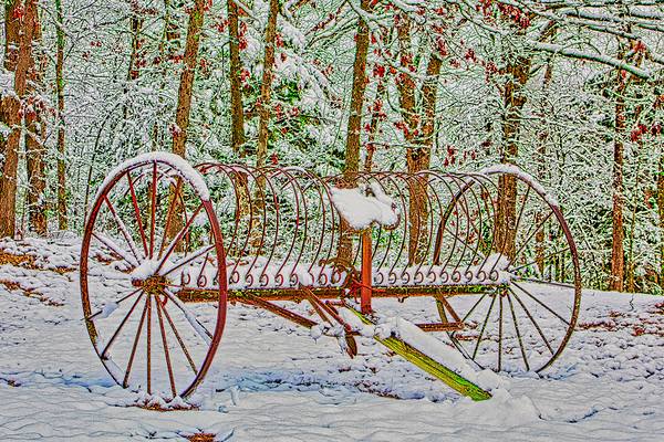 COUNTRY WINTER   Print