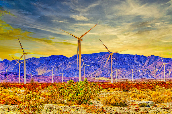 DESERT WINDMILLS  Digital Download