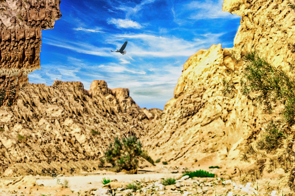 DESERT CLIFFS  Print