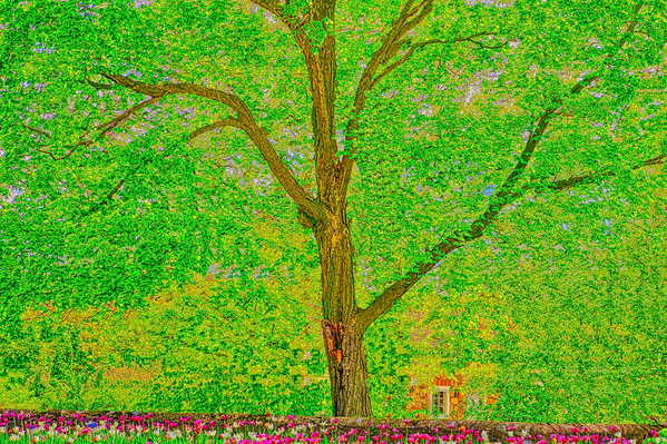 INSPIRATIONAL TREE  Digital Download