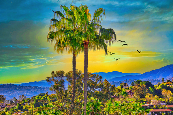 PLACE OF BEAUTY  Digital Download