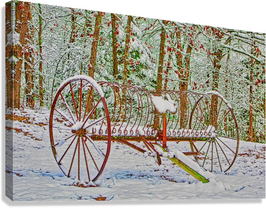 COUNTRY WINTER   Canvas Print