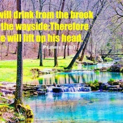 SPLASHING BROOK SCRIPTURE