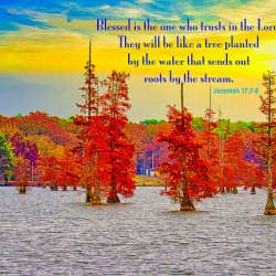 RIVER TREES  SCRIPTURE