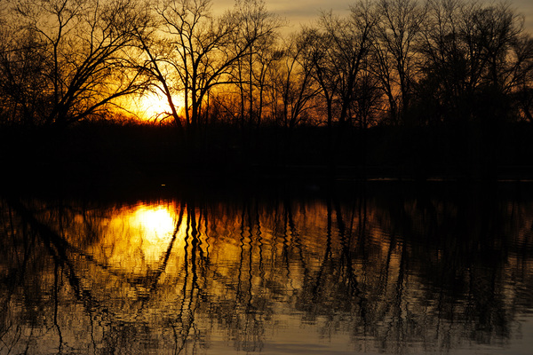 Sunset Between Trees by Aaron Lehrman