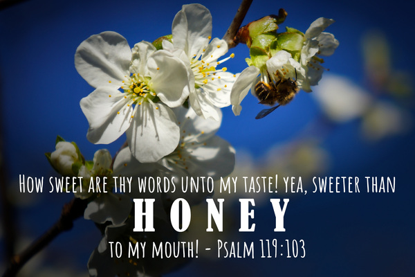 Sweeter Than Honey by Aaron Lehrman