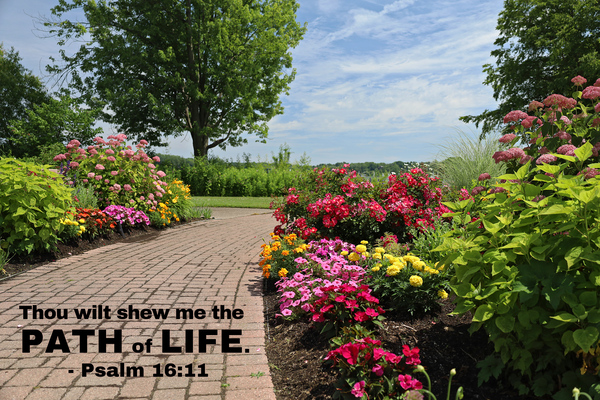 Path of Life With Psalm 16:11 by Aaron Lehrman