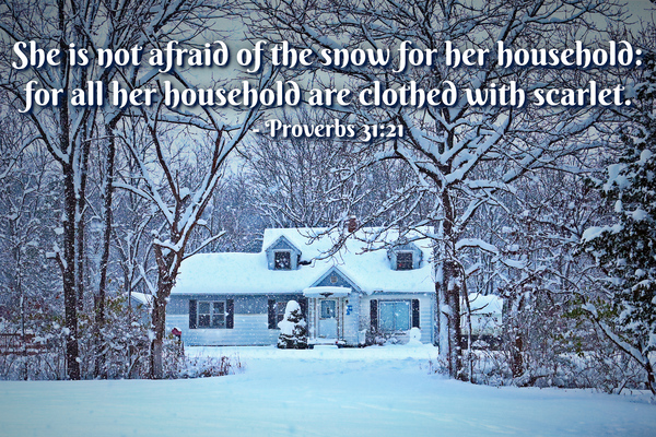 Not Afraid of Snow by Aaron Lehrman