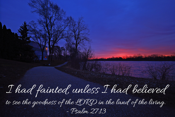 The Goodness of the Lord by Aaron Lehrman