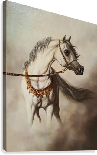 WHITE HORSE      Canvas Print