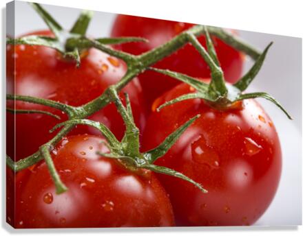 Raw cherry tomatoes Canvas Print