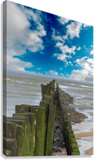 IMG 8414 Canvas Print