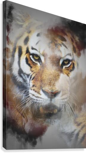 Tigre  Canvas Print