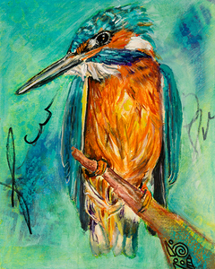 Kingfisher Two