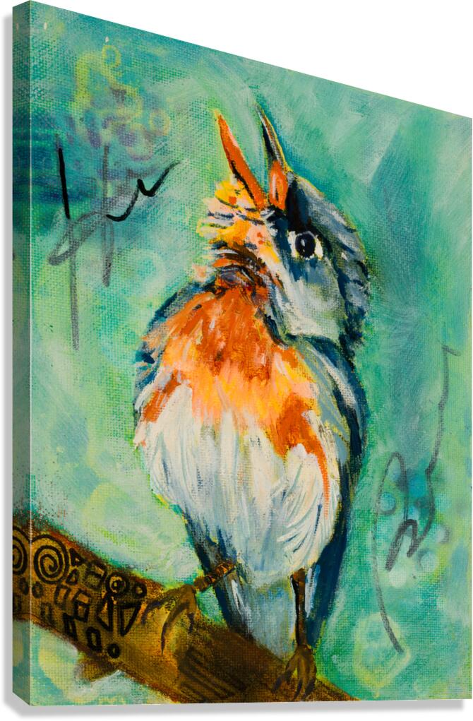 Robin Canvas Print