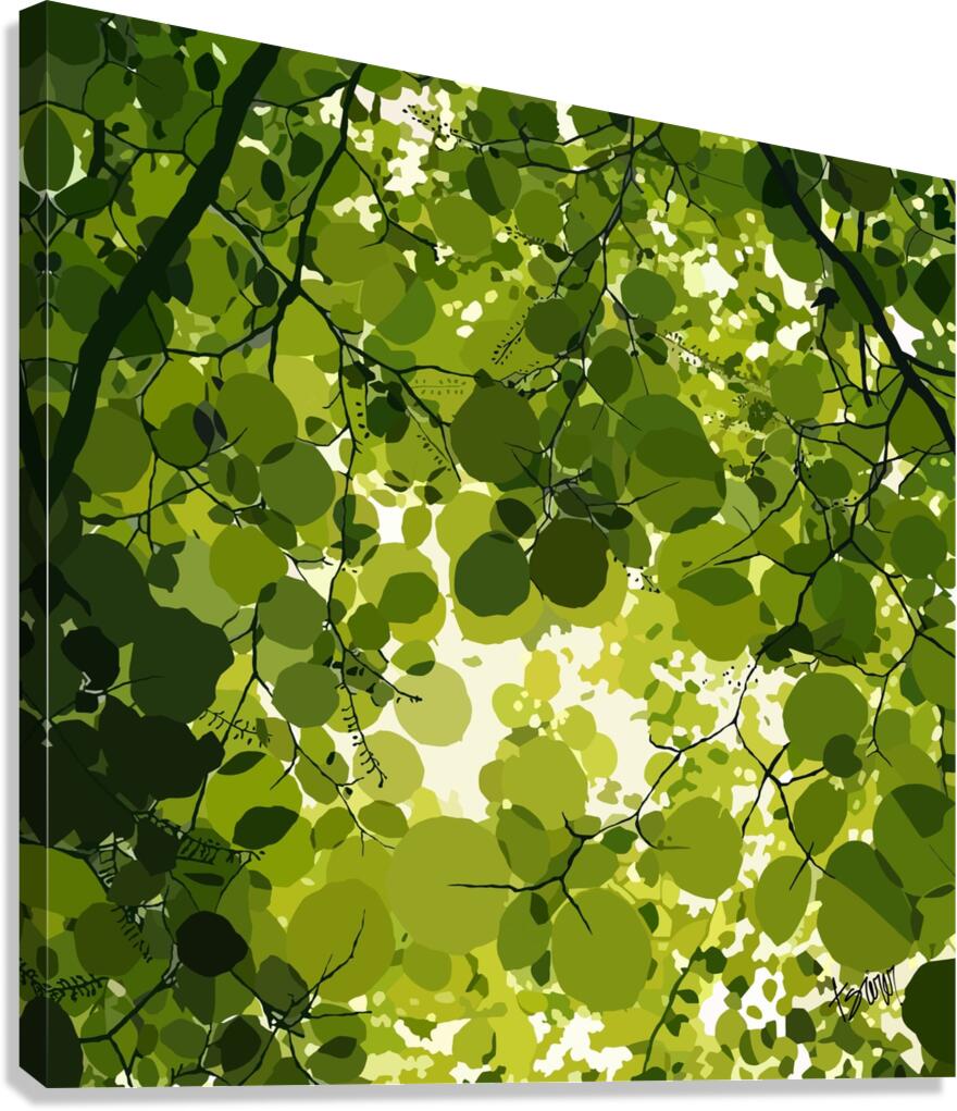 Skyview Canvas Print