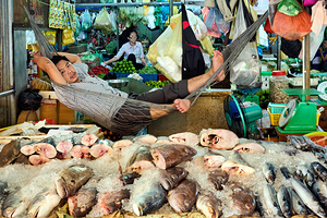 Market vendor relaxes in hammock above fresh fish.