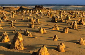 The Pinnacles Deserts limestone pillars glow at sunset.