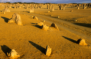 Limestone pinnacles rise from golden desert sand at sunset.