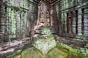 Ancient temple carvings covered in vibrant green moss.