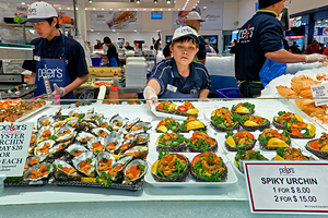 Fresh oysters and spiky urchin for sale at market.
