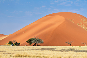 Sand dunes rise in Sossusvlei within Namib Naukluft National Par