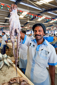 Vendor shows large octopus at fish market in Dubai