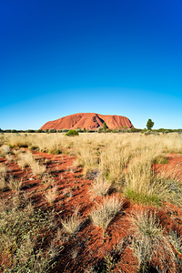 Uluru Australia: A vast red desert landscape under a clear blue