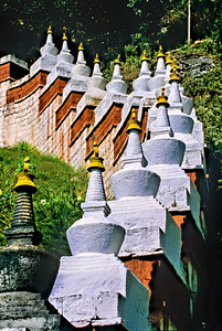 White stupas with golden spires on a green hillside.