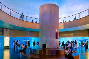 Visit to Oceanografic in Valencia Spain with Antarctic exhibits