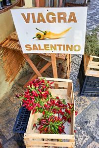 Salento. Apulia Puglia Italy. Gallipoli. Dried red chili natural Viagra
