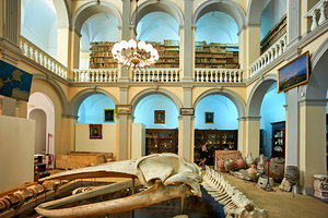 Salento. Apulia Puglia Italy. Gallipoli. Civic Museum Emanuele Barba