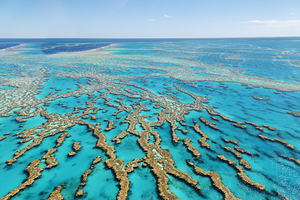 Whitsunday Islands. Great Barrier Reef. Queensland. Australia