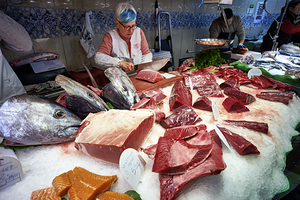Barcelona. Catalonia. Spain. The Mercat de Sant Josep de la Boqueria. Tuna fish at fishmonger stall