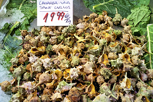Barcelona. Catalonia. Spain. The Mercat de Sant Josep de la Boqueria. Sea snails at fishmonger stall