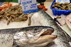 Barcelona. Catalonia. Spain. The Mercat de Sant Josep de la Boqueria. Fresh salmon at fishmonger stall