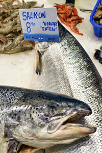 Barcelona. Catalonia. Spain. The Mercat de Sant Josep de la Boqueria. Fresh salmon at fishmonger stall