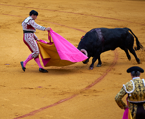 ANDALUSIA SPAIN. Bullfight in Seville Arena