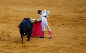 ANDALUSIA SPAIN. Bullfight in Seville Arena