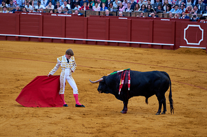 ANDALUSIA SPAIN. Bullfight in Seville Arena