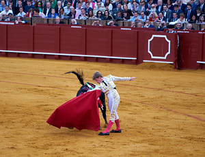 ANDALUSIA SPAIN. Bullfight in Seville Arena